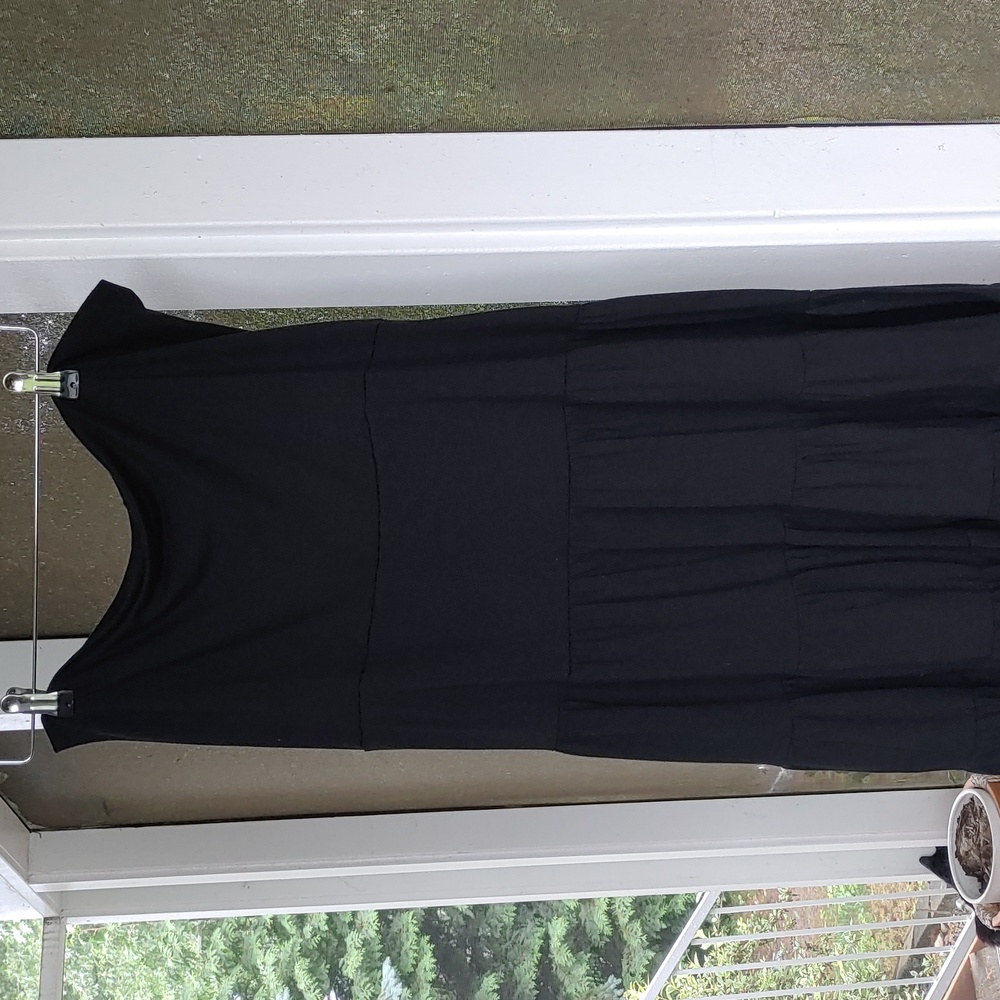 Sam and max brand skirt and dress in 1. Size 1X